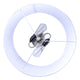 Clara 2-Light Floor Lamp
