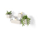 Cubiko Wall Planter