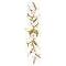 Azalea Large Five Light Sconce