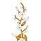 Azalea Large Five Light Sconce