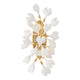 Audra Medium Two Light Sconce