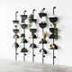 Solis Shelf