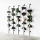Solis Shelf