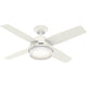 Dempsey Fan with Light 44"
