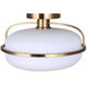 Eve 1-Light Semi Flush