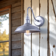 Desi 1-Light Outdoor Lantern