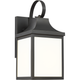 Saybrook 1-Light Small Lantern