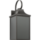 Saybrook 1-Light Medium Lantern