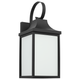 Saybrook 1-Light Medium Lantern