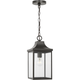 Saybrook 1-Light Medium Pendant