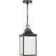 Saybrook 1-Light Medium Pendant
