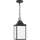 Saybrook 1-Light Medium Pendant