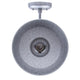 Desi 1-Light Outdoor Lantern