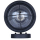 Alaric 1-Light Outdoor Lantern