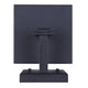 Shana 1-Light Outdoor Lantern