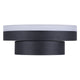 Franco 1-Light Outdoor Lantern
