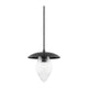Lana 1-Light Small Pendant