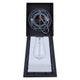 Coralea 1-Light Outdoor Lantern