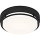 Hale 12" LED Flush Mount