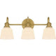 Hinton 3-Light Bath Light