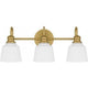Hinton 3-Light Bath Light