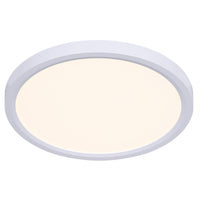 LED Disc Light
