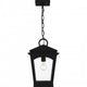 Huck Mini Pendant