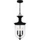 Havana 3-Light Outdoor Pendant