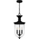 Havana 3-Light Outdoor Pendant
