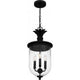 Havana 3-Light Outdoor Pendant