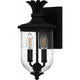 Havana 2-Light Small Outdoor Lantern