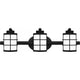 Hazlett 3-Light Bath Light