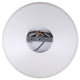 Holland 4-Light Pendant