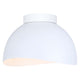 Canarm - Henlee 1-Light Flush Mount - Lights Canada