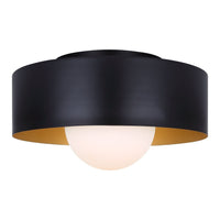Daylon 1-Light Flush Mount