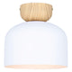 Caleb 1-Light Flush Mount