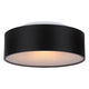 Dexter 2-Light Flush Mount