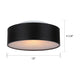 Dexter 2-Light Flush Mount