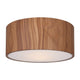 Dexter 2-Light Flush Mount