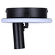 Denver Flush Mount