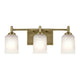 Shailene 21" 3-Light Vanity Light