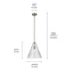 Everly 15.5" 1-Light Cone Pendant