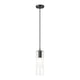 Alton 1-Light Pendant