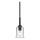 Shailene 11.25" 1-Light Mini Pendant