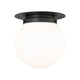 Calhoun 1-Light Flush Mount