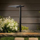 12 Volt LED 8" Shallow Shade Path Light