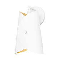 Salone 1-Light Wall Sconce