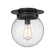 Calhoun 1-Light Flush Mount