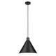Zailey 14.25" 1-Light Cone Pendant