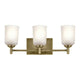 Shailene 21" 3-Light Vanity Light